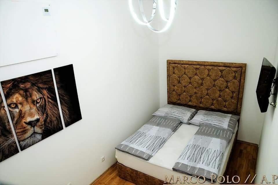 Markopolo Apartments Βιέννη Εξωτερικό φωτογραφία